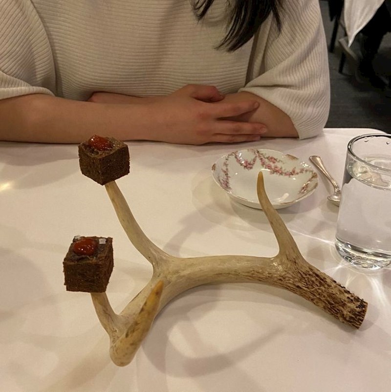 6. Kome je bila dobra ideja poslužiti hranu na rogu jelena 🤦‍♀️