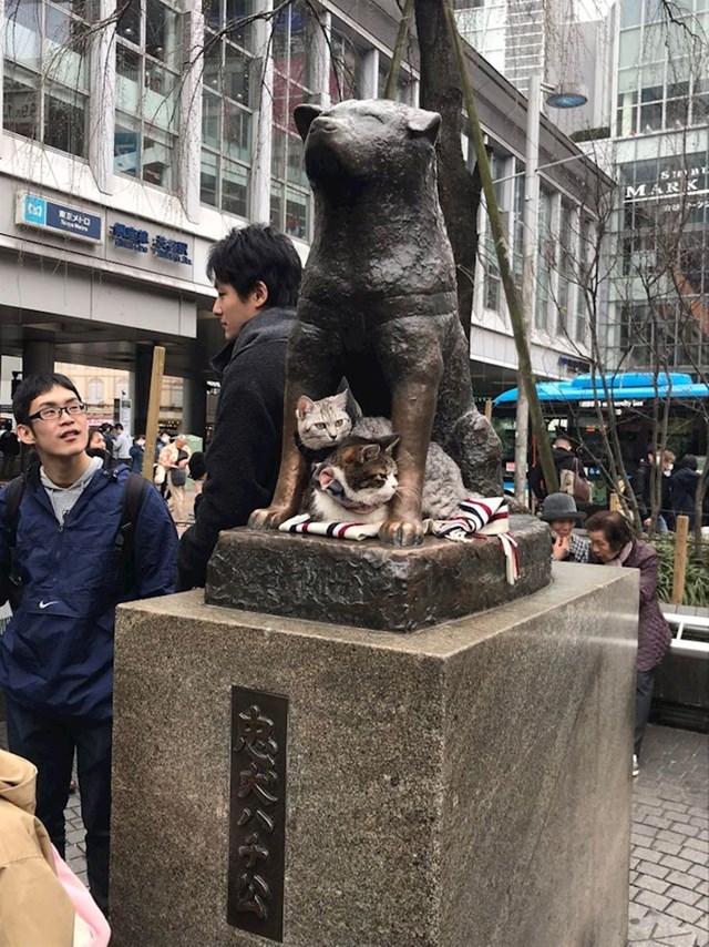 Spomenik Hachiku- najodanijem psu na svijetu!