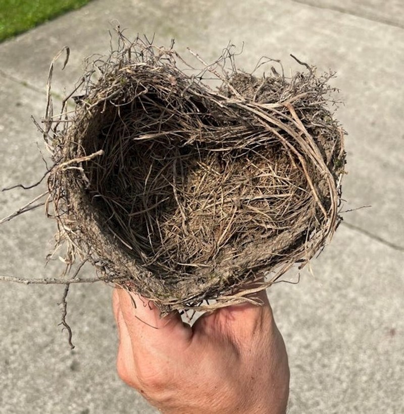 7. Gnijezdo u obliku srca