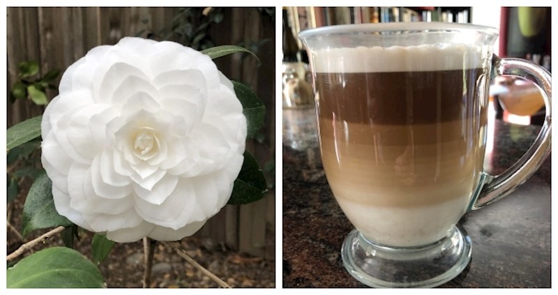 14 fotki čistog savršenstva pravi su melem za oči, ova galerija će vas očarati