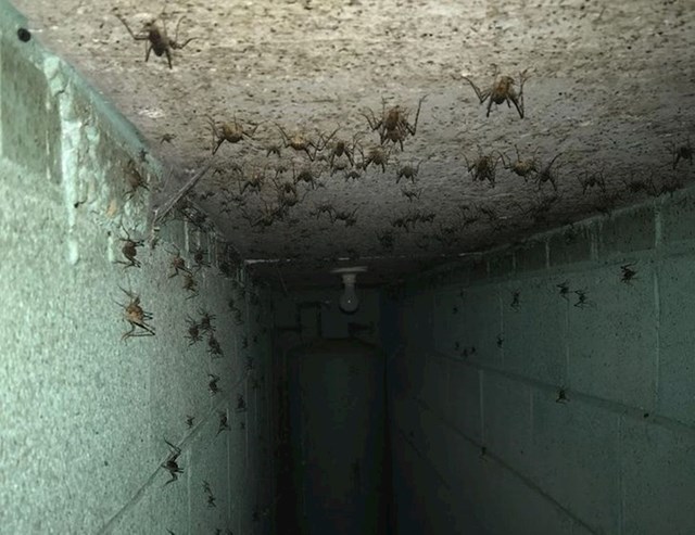 9. U novoj kući smo otkrili bunker, ali ne možemo ući u njega. Ovo je jedino što smo uspili fotkati kroz pukotinu