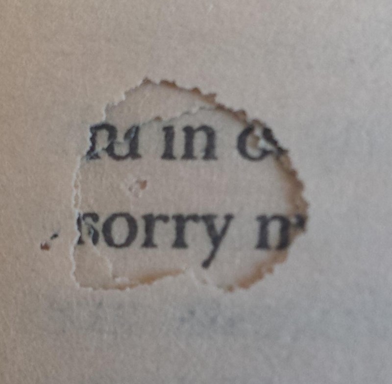 Bube su mi pojele knjigu, ali su ostavile poruku