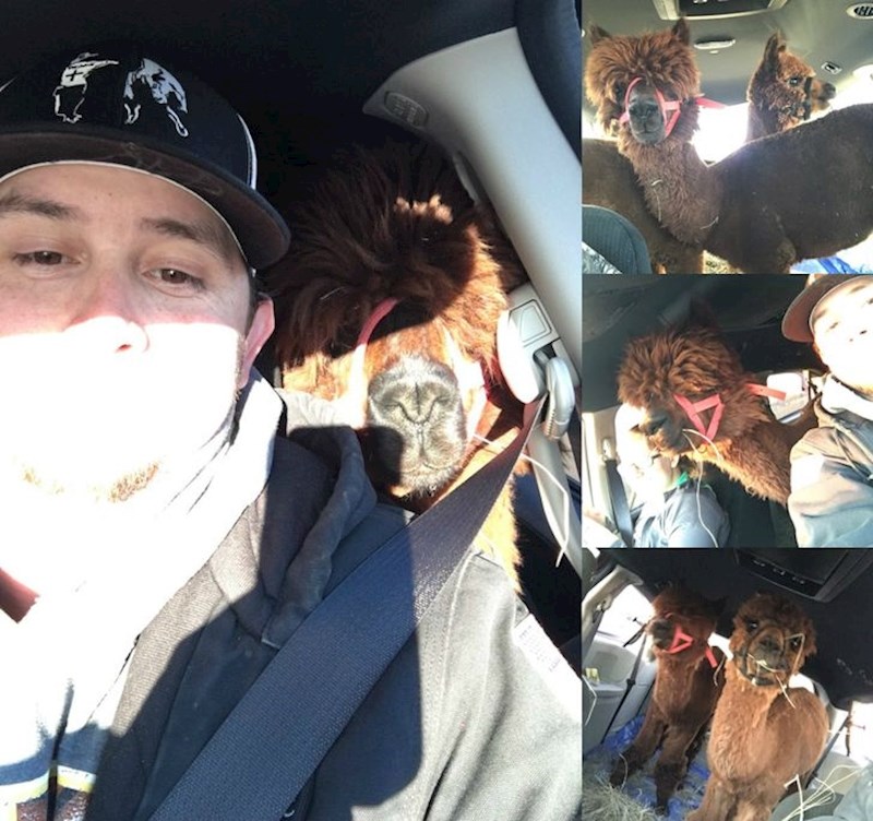 "Brat mi je poslao poruku da je priredio iznenađenje ženi za prvu godišnjicu braka. Bojim se da druge godišnjice neće biti..."