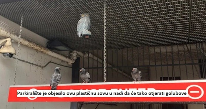 11 neobičnih prizora pravi su dokaz da svemir ponekad ima odličan smisao za humor