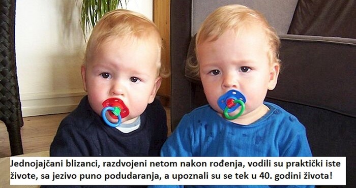 Neočekivani odgovori na 5 prezanimljivih pitanja koje je ovaj tip tražio na Googleu