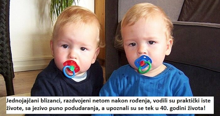 Neočekivani odgovori na 5 prezanimljivih pitanja koje je ovaj tip tražio na Googleu