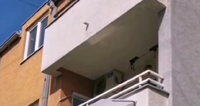 Na balkonu zgrade u Beogradu nešto je ukralo pažnju svih prolaznika i genijalno je, oduševit će vas