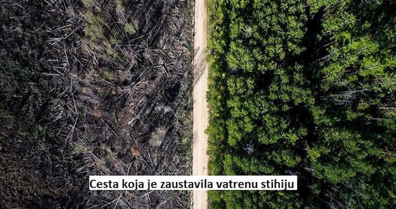 17 fotki koje su toliko lijepe da bi ih photoshop mogao samo pokvariti