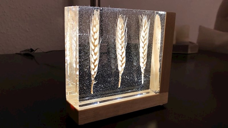 DIY Lampa od epoksidne smole i pšenice
