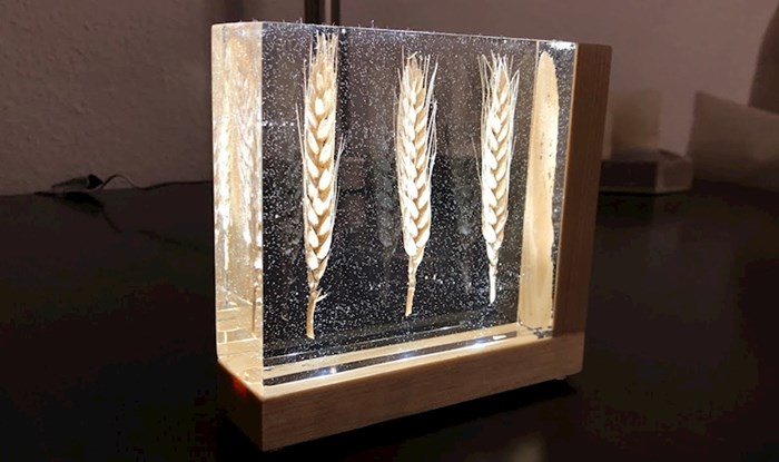 DIY Lampa od epoksidne smole i pšenice