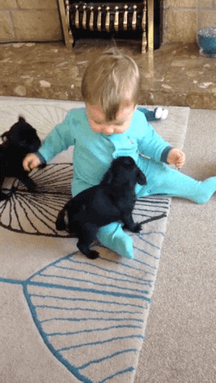 od malih nogu u dobrom društvu..gif