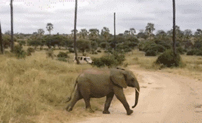 klinci k´o klinci..gif