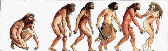 evolucija..gif