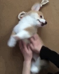 da se nisi usudio prestati..gif