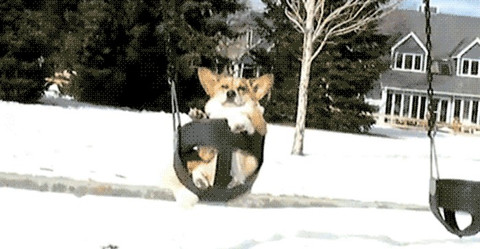 u očekivanju Petka...gif