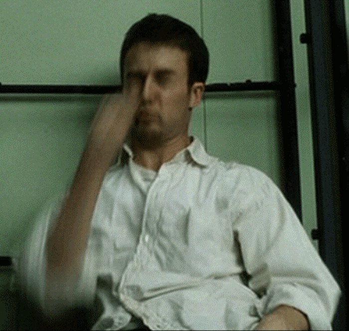 glasači u hr..gif