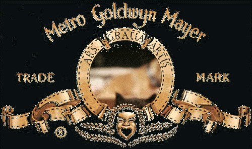 snimka iz mlađih dana..:)))  gif