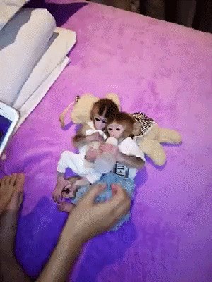 maleni, ali sa stavom...gif