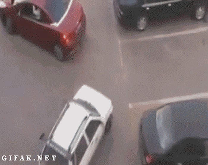 bravo, curo...gif