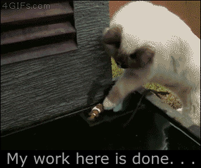 eh, netko će zaspati čiste savjesti..gif