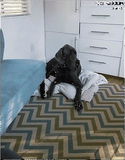 jači - kači..gif  :)))