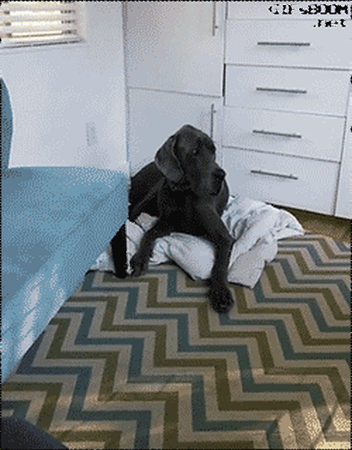 jači - kači..gif  :)))