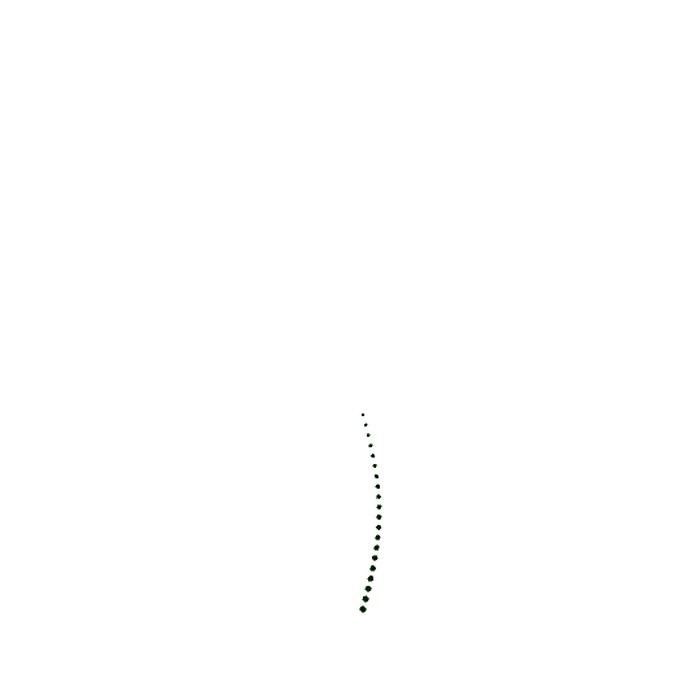 rast..gif