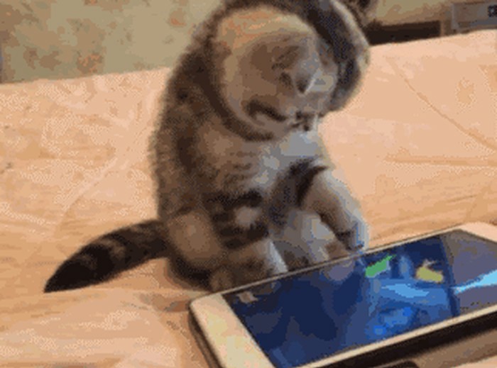 slušaj ribo...ne muljaj..:))) gif