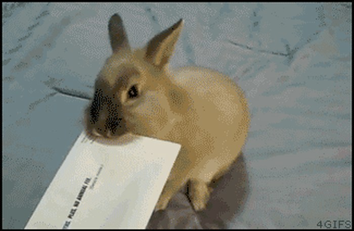 zeko poštar..gif