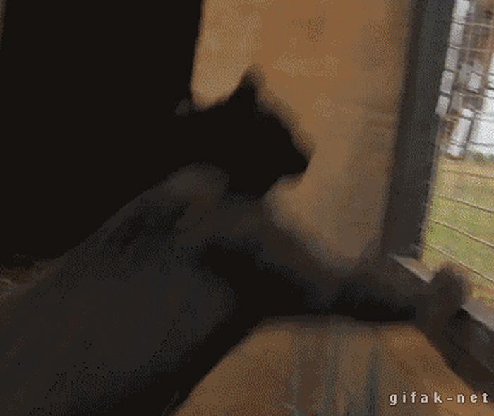:)))..pa dobro gdje si ti ??gif