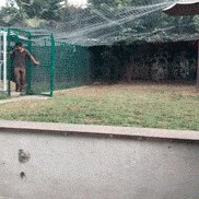 šlampava mačka..:) gif