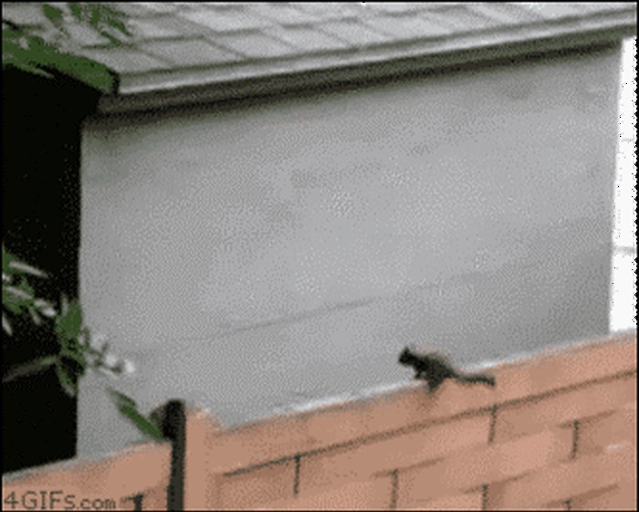 matematika rješava svaki problem..gif