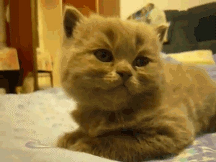 GIF: Kad se probudiš u petak i shvatiš da je tek srijeda