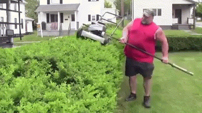 GIF: Najčudniji način uređivanja žive ograde