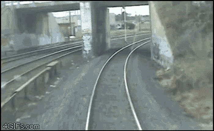 GIF: Mislili ste da ovako padaju samo tinejdžerke u šumi u hororu?