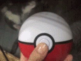 Ovo stvorenje je definitivno slađe od bilo kojeg Pokemona