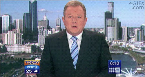 PRIJELOMNA VIJEST: Galeb željan pažnje trollao po jutarnjim vijestima