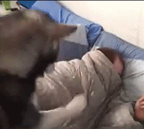 Njemu je nježnost nepoznat pojam