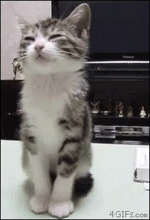 Ono kad zaspes na putu do kupaonice