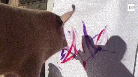 GIF: Ovo je Pigcasso, umjetnik među svinjama!