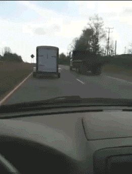 GIF: Najveći srećkovići na svijetu 1.