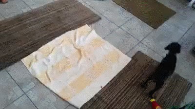 GIF: Pazite da vas ovo spiralno jedenje ne hipnotizira