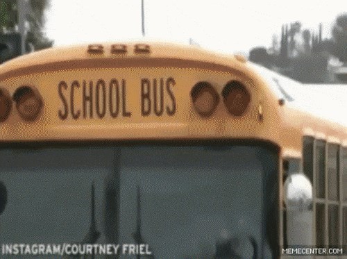 GIF: Najmlađi glasač MOST-a