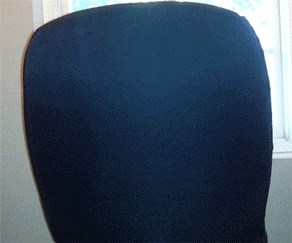 GIF: Kad se vratiš kući s posla, a on gladan k'o pas