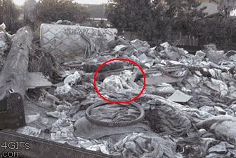 GIF: Svatko zaslužuje priliku i topli zagrljaj