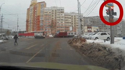 Ono kad životinje poštuju prometna pravila više nego ljudi