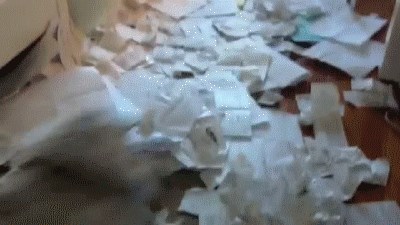 Baš nju briga što je napravila nered!