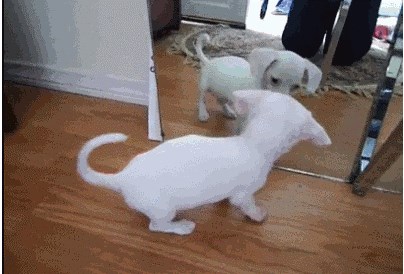 Našao sam prijatelja za igranje