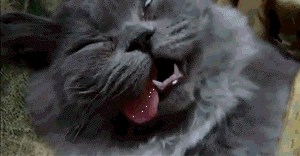 Ono kada se pokušavaš probuditi nakon tri dana uživanja