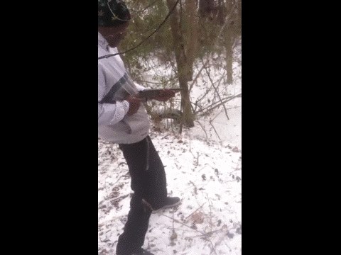 GIF: Tko se mača lača, nokautira se u šumi